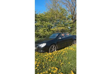 VW Eos Gebrauchtwagen