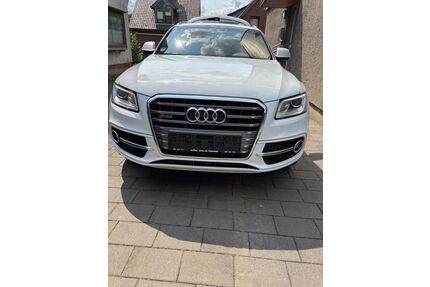 Audi SQ5 Gebrauchtwagen
