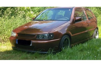VW Polo Gebrauchtwagen