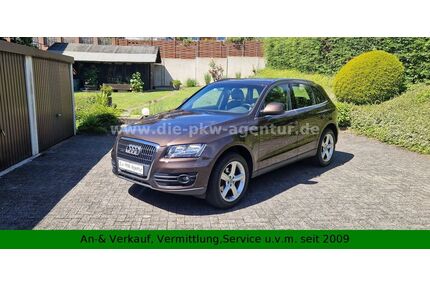 Audi Q5 Gebrauchtwagen