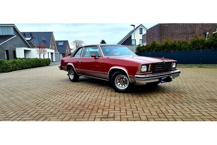 Chevrolet Malibu Gebrauchtwagen