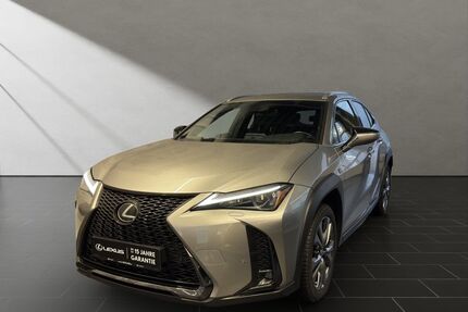 Lexus UX Gebrauchtwagen
