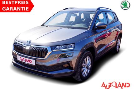 Skoda Karoq Gebrauchtwagen