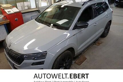Skoda Karoq Gebrauchtwagen