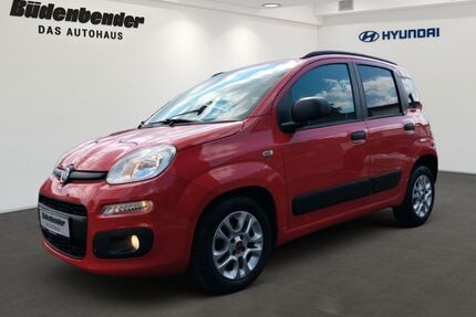 Fiat Panda Gebrauchtwagen
