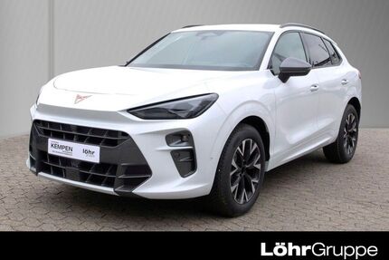 Cupra Terramar Gebrauchtwagen