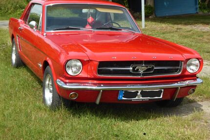 Ford Mustang Gebrauchtwagen