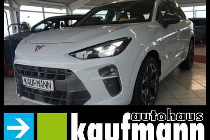 Cupra Terramar Gebrauchtwagen