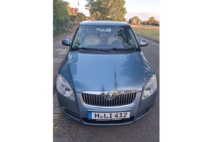 Skoda Fabia Gebrauchtwagen