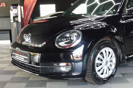 VW Beetle Gebrauchtwagen