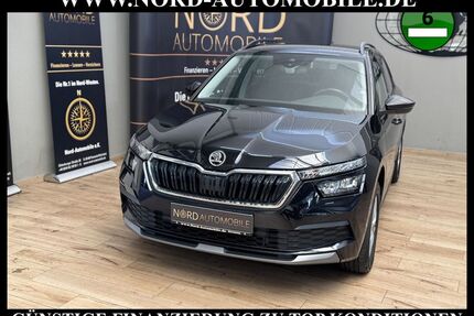 Skoda Kamiq Gebrauchtwagen