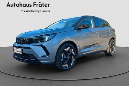 Opel Grandland (X) Gebrauchtwagen