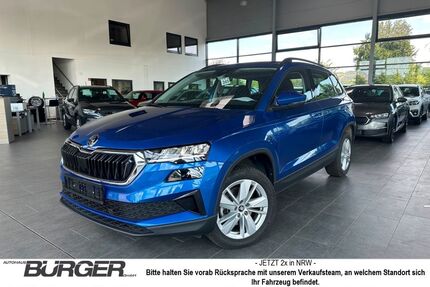 Skoda Karoq Gebrauchtwagen