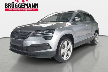 Skoda Karoq Gebrauchtwagen