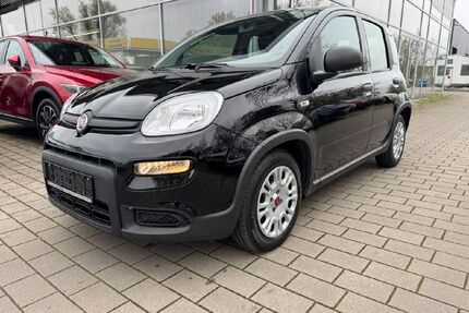 Fiat Panda Gebrauchtwagen