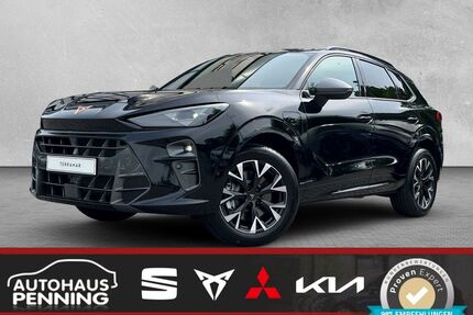 Cupra Terramar Gebrauchtwagen