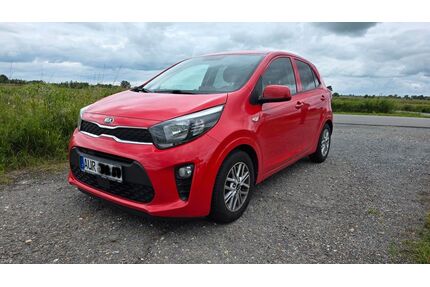 Kia Picanto Gebrauchtwagen