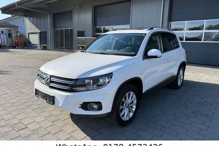 VW Tiguan Gebrauchtwagen