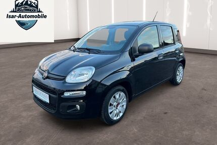 Fiat Panda Gebrauchtwagen