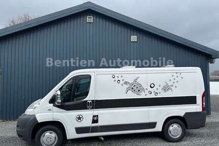 Fiat Ducato Gebrauchtwagen
