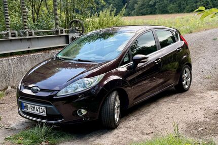 Ford Fiesta Gebrauchtwagen