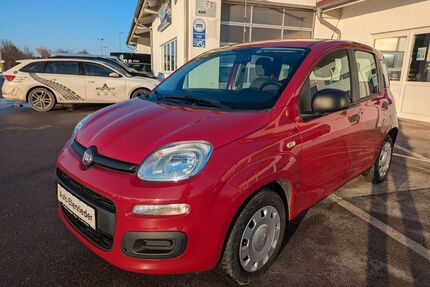 Fiat Panda Gebrauchtwagen