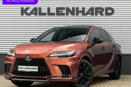 Lexus RX 500 Gebrauchtwagen