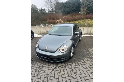 VW Beetle Gebrauchtwagen