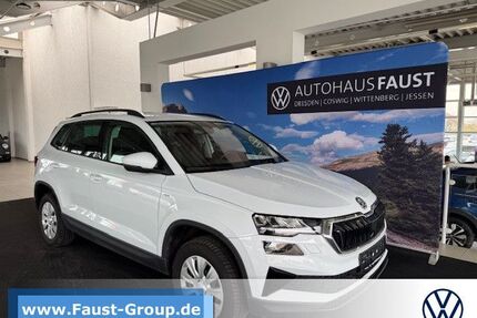 Skoda Karoq Gebrauchtwagen
