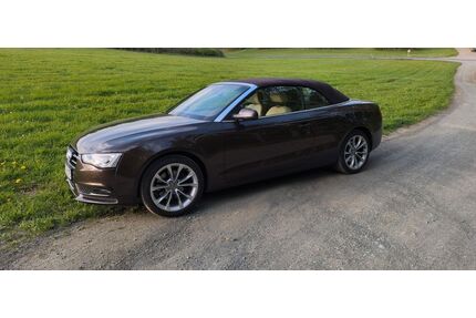 Audi A5 Gebrauchtwagen