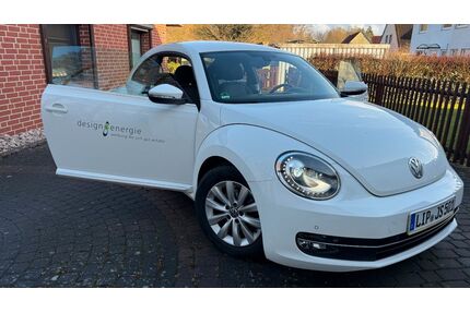 VW Beetle Gebrauchtwagen