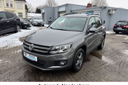 VW Tiguan Gebrauchtwagen