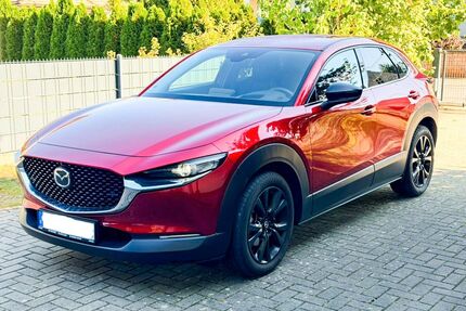 Mazda CX-30 Gebrauchtwagen