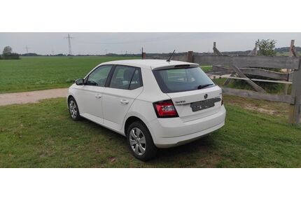 Skoda Fabia Gebrauchtwagen