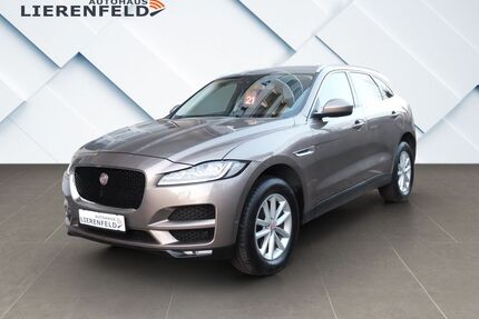 Jaguar F-Pace Gebrauchtwagen