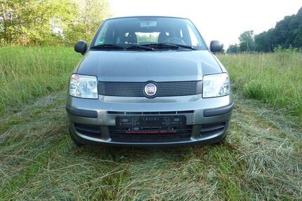 Fiat New Panda Gebrauchtwagen
