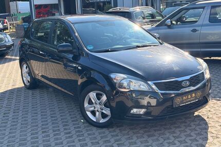 Kia ceed / Ceed Gebrauchtwagen