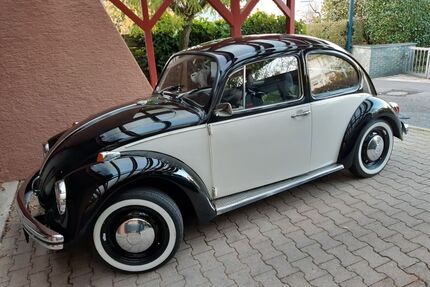 VW Käfer Gebrauchtwagen