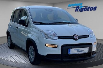 Fiat Panda Gebrauchtwagen