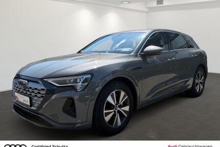 Audi Q8 e-tron Gebrauchtwagen
