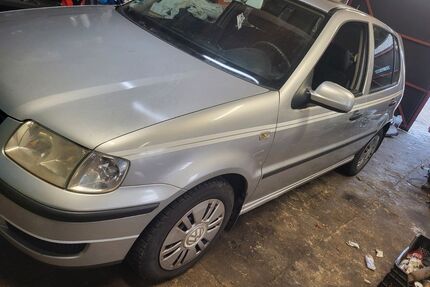 VW Polo Gebrauchtwagen