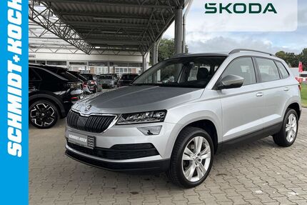 Skoda Karoq Gebrauchtwagen