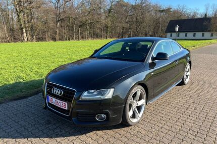Audi A5 Gebrauchtwagen
