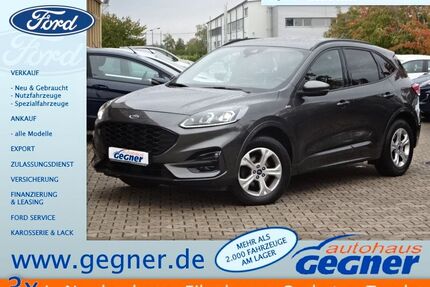 Ford Kuga Gebrauchtwagen
