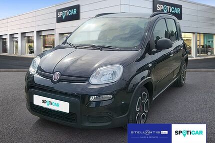 Fiat Panda Gebrauchtwagen