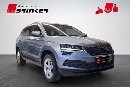 Skoda Karoq Gebrauchtwagen