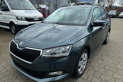 Skoda Fabia Gebrauchtwagen