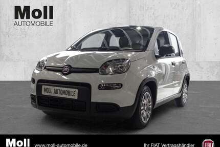 Fiat Panda Gebrauchtwagen