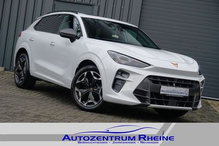 Cupra Terramar Gebrauchtwagen