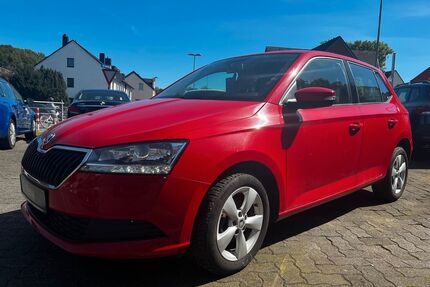 Skoda Fabia Gebrauchtwagen